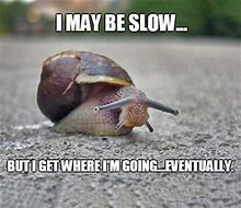 Image result for Snail Parkour Meme