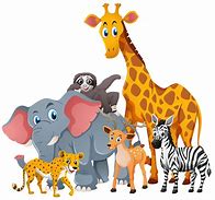 Image result for Vector Cartoon Animals