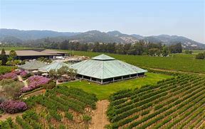 Image result for Laird Family Estate Syrah Dyer Ranch