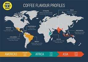 Image result for My World Is Coffee