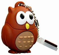 Image result for USB Flash Drive Brown