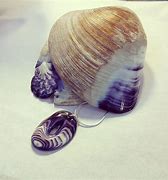 Image result for Jewelry From Quahog Shell