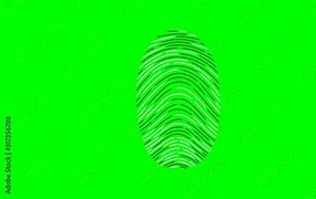 Image result for 3 Types of Fingerprints