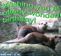 Image result for Funny Birthday Ecards Memes