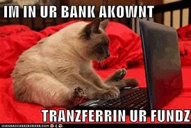 Image result for Banker Cat Meme