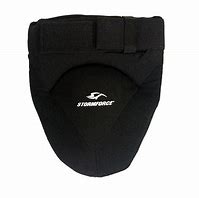 Image result for Tactical Pelvic Protector