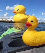 Image result for Yellow Rubber Ducky