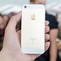 Image result for iPhone SE 4 Inch in Hand