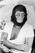 Image result for Ape People