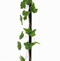 Image result for Artificial Ivy Vines