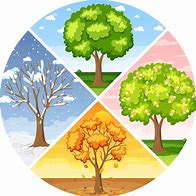 Image result for Seasons Ppt Background