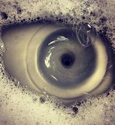 Image result for Optical Illusion Photography