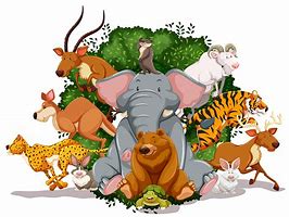 Image result for Cartoon Wildlife Animals Kll