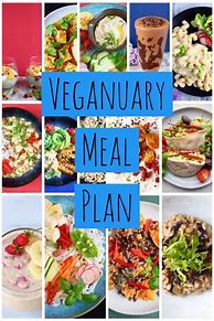Image result for Vegan Meal Planner