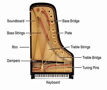 Image result for Grand Piano Blueprint