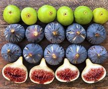 Image result for Fig Fruit in Malay