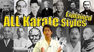 Image result for Types of Karate Stylers