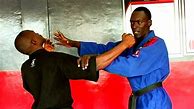 Image result for African American Martial Artist