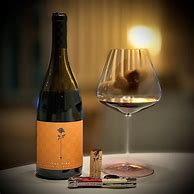 Image result for Chapter 24 Pinot Noir Fire Flood The Fire
