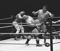 Image result for Brock Lesnar Hand vs Andre the Giant