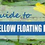 Image result for Yellow Floating Heart