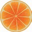 Image result for oranges slice