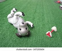 Image result for Aibo Latte