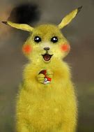 Image result for A Real Pikachu