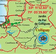 Image result for colliguay