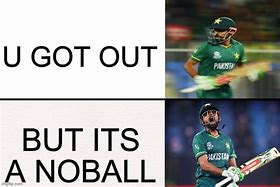 Image result for Cricket Bug Meme