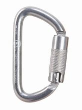 Image result for Stainless Carabiner Clip