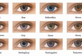 Image result for Air Optix Colors for Astigmatism