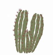 Image result for Desert Scene with Cactus