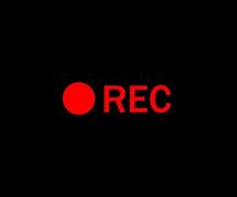 Image result for Recording/Capture Icon