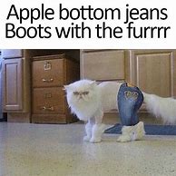 Image result for Apple Bottom Jeans Boots with the Fur Meme Coach