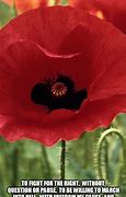 Image result for White Poppy Meme