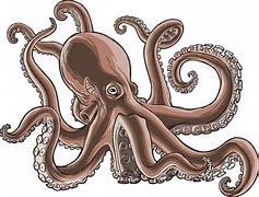 Image result for octopus art