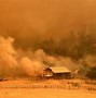 Image result for Cow Burp Fire