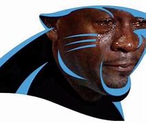 Image result for Sad Carolina Panthers Fans
