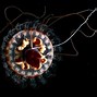 Image result for Bioluminescence Fish Mines