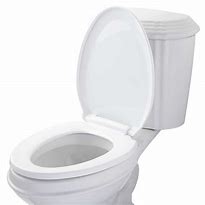 Image result for A Toilet Seat