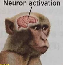 Image result for Meme Brain Neural