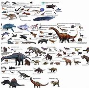 Image result for Animal Size Comparison Chart