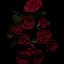 Image result for Black Rose Phone Wallpaper