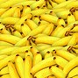 banana 的图像结果