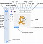 Image result for Scratch Coding Cat
