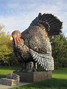 Image result for Biggest Turkey