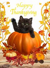 Image result for Happy Thanksgiving Funny Cats