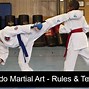 Image result for Taekwondo Kicks Techniques
