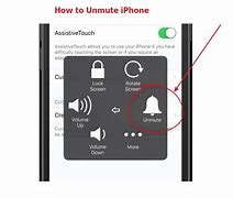 Image result for Mute and Unmute iPhone